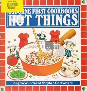 Usborne Cookbooks Hot Things
