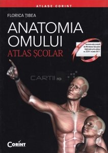 Anatomia omului