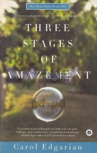 Three Stages of Amazement