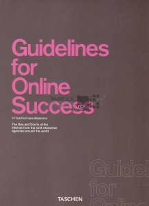 Guidelines for Online Success / Indrumari pentru succesul online