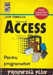 Access - pentru programatori