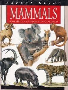 Mammals / Mamifere