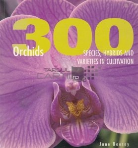 300 Orchids / 300 de orhidee
