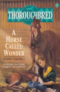 A Horse Called Wonder / Un cal numit Minune
