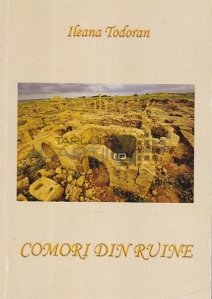 Comori din ruine
