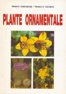 Plante ornamentale