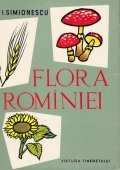 Flora Rominiei