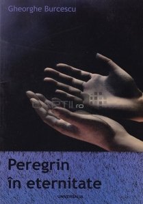 Peregrin in eternitate