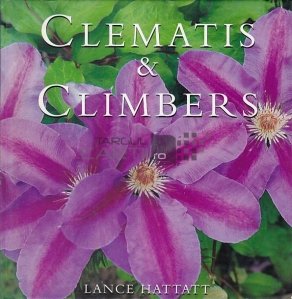 Clementis and Climbers