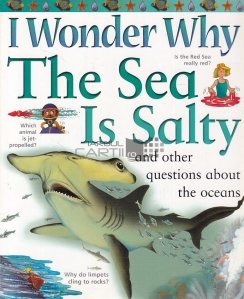 The Sea is Salty