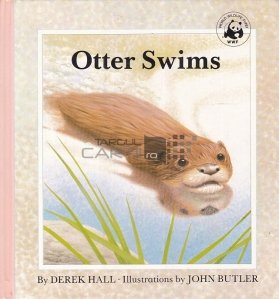 Otter Swims