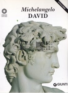 Michelangelo, David