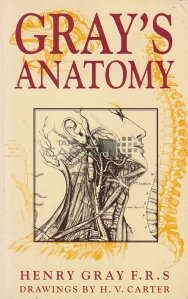 Anatomy.  Descriptive and Surgical