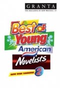 The Best Of Young American Novelists