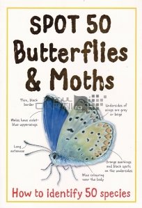 Spot 50 Butterflies & Moths