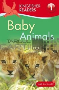 Kingfisher Readers: Baby Animals (Level 1: Beginning to Read)