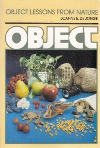Object lessons from nature