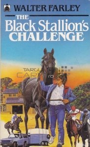The black stallion's challenge