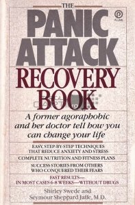 The panic attack recovery book