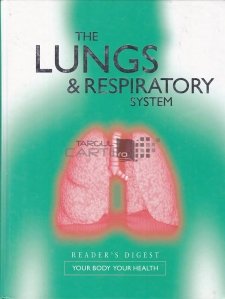 The Lungs & Respiratory System