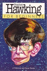 Stephen Hawking For Beginners