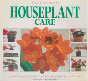 Houseplant Care