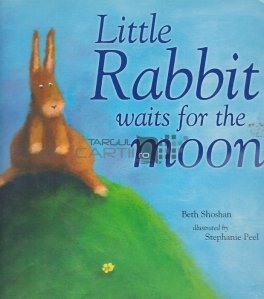 Little Rabbit waits for moon