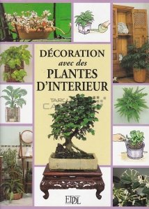 Decoration avec des Plantes D'Interieur / Decorarea cu plante de interior