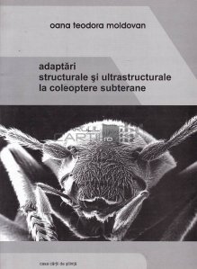 Adaptari structurale si ultrastructurale la coleoptere subterane