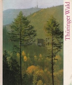 Thuringer Wald / Muntii Padurea Turingiei