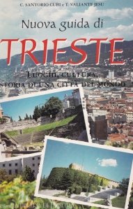 Nuova guida di Trieste