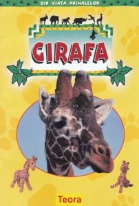 Girafa / Mihai Manastireanu