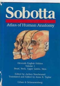 Atlas of human anathomy / Atlas de anatomie umana ; cap gat piele