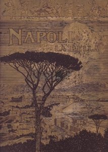 Napoli la bella / Frumosul oras Napoli:O calatorie in Napoli si imprejurimi; 200 ilustratii