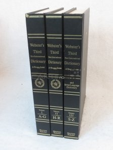 Webster's third new international dictionary / Al treilea dictionar international Webster cu dictionar in 7 limbi