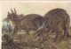 Tiere der Urzeit / Animalele preistorice