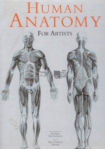 Human anathomy for artists / Anatomia umana pentru artisti