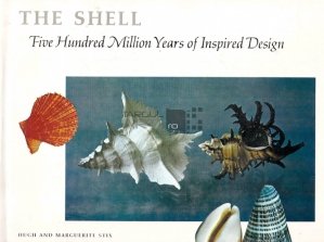 The shell / Scoica; 500 milioane de ani de desen inspirat