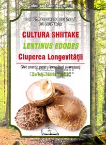 Cultura Shiitake-Lentinus Edoges Ciuperca longevitatii