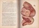 Atlas manuel de gynecologie / Atlas manual de ginecologie