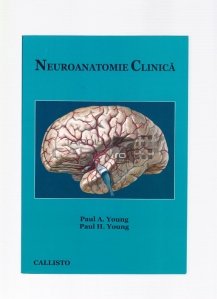 Neuroanatomie clinica