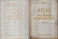 Atlas de anatomie comparativa