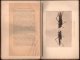 Souvenirs entomologiques / Amintiri entomologice;Studiu despre instinctul si comportamentele insectelor