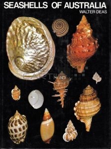 Seashells of Australia / Scoicile Australiei