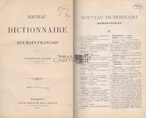 Nouveau dictionnaire roumain-francais / Noul dictionar roman-francez