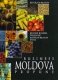 Panorama Moldovei la hotarul secolelor