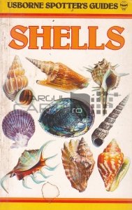 Spotter's Guide To Shells