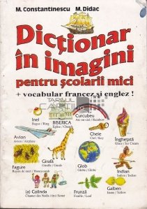Dictionar in imagini pentru scolarii mici