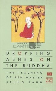 Dropping ashes on the Buddha / Arunca cenusa asupra lui Buddha