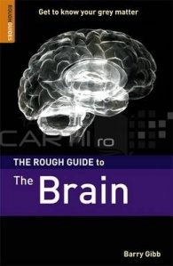 Rough Guide to The Brain